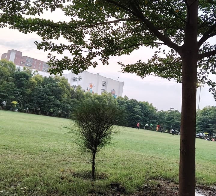 CGC University, Mohali Sports and Ground photo 22